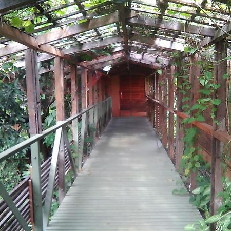 Rumah Turi Eco Boutique Hotel Solo Exteriör bild