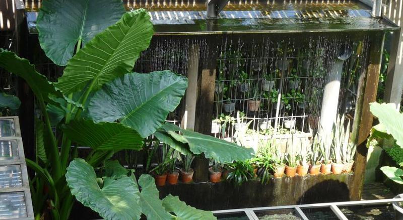Rumah Turi Eco Boutique Hotel Solo Exteriör bild